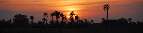Humedales del Este
